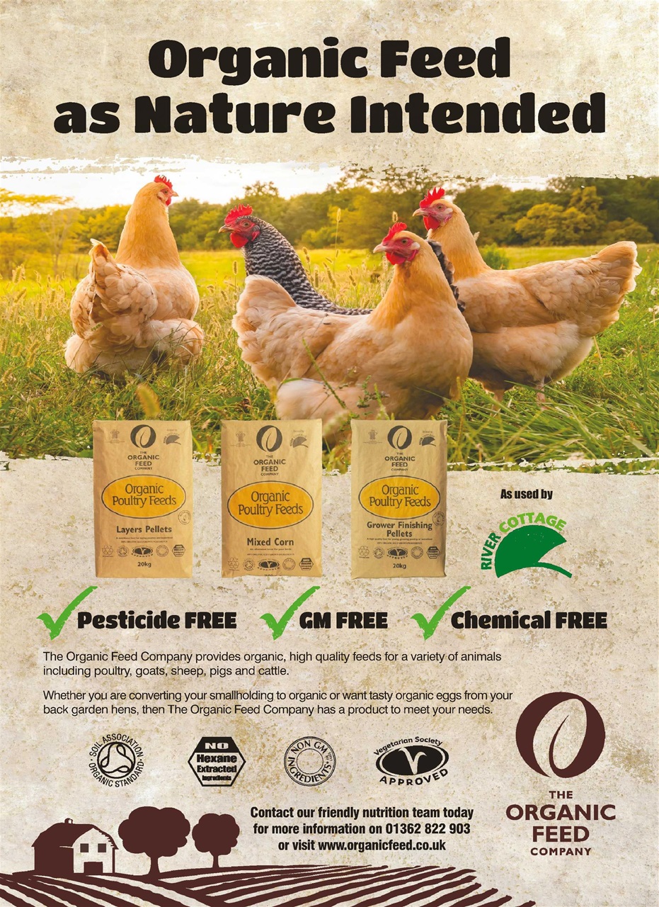 Practical Poultry Preview Pages