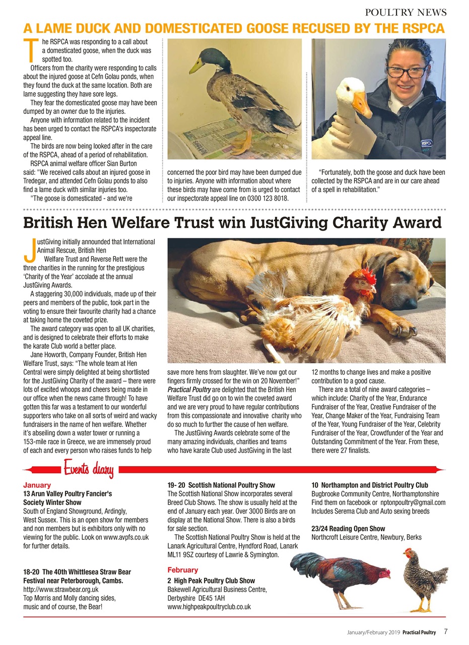 Practical Poultry Preview Pages