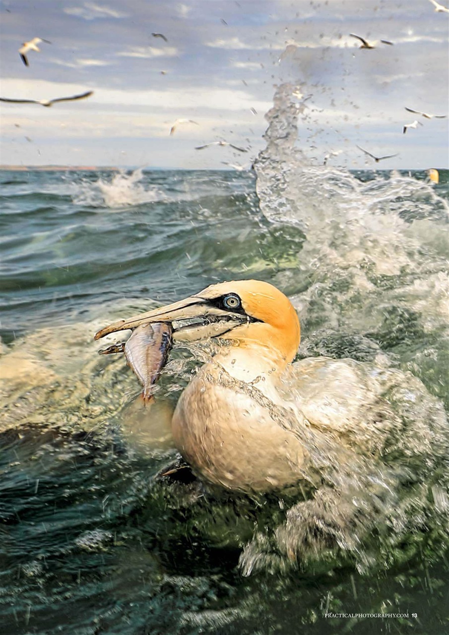 Practical Photography Preview Pages