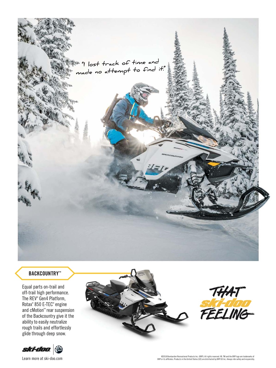 SnowGoer Preview Pages