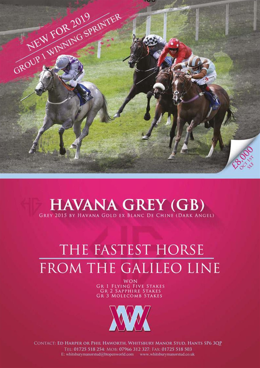 The Owner Breeder Preview Pages