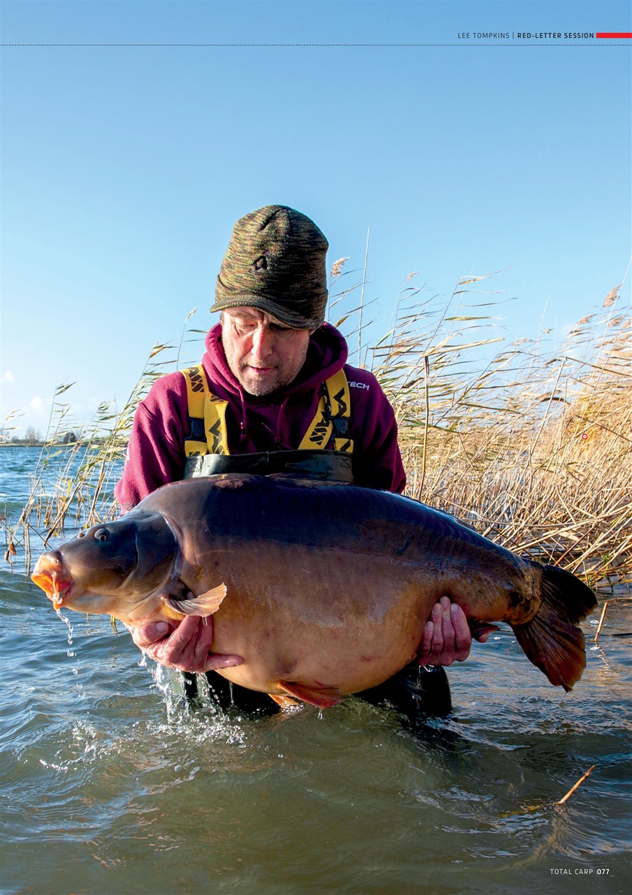 Total Carp Preview Pages