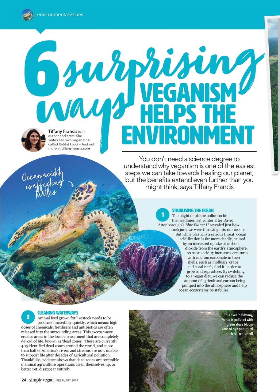 Simply Vegan Preview Pages