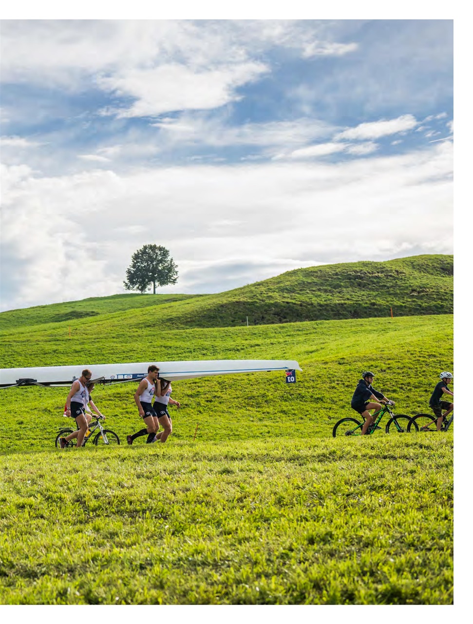 Row360 Preview Pages