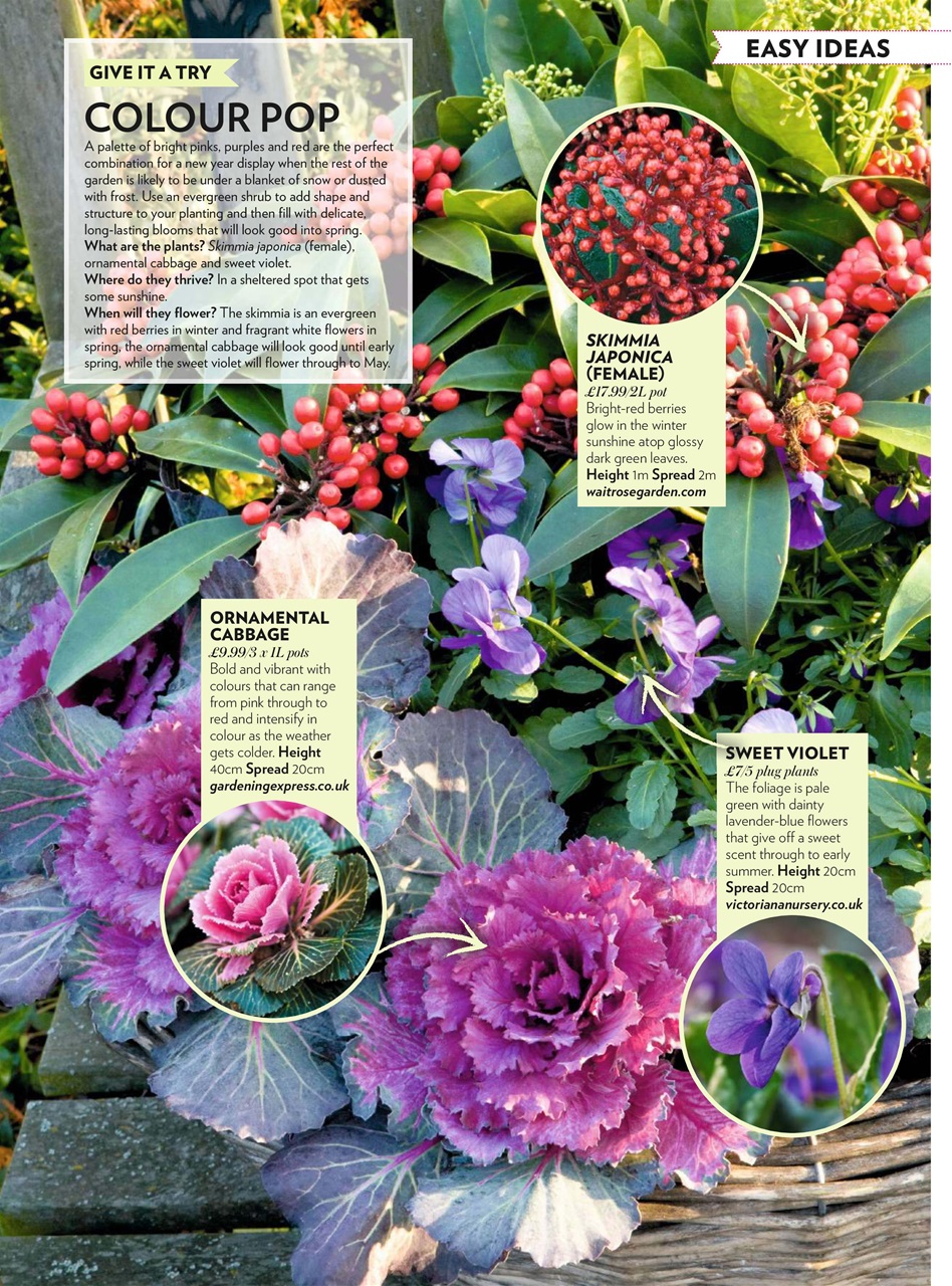 Modern Gardens Preview Pages