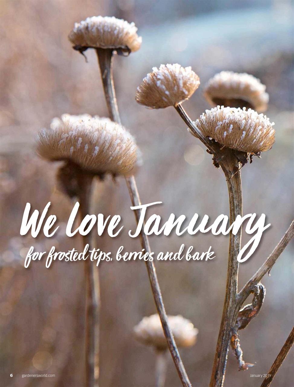 BBC Gardeners’ World Magazine Preview Pages