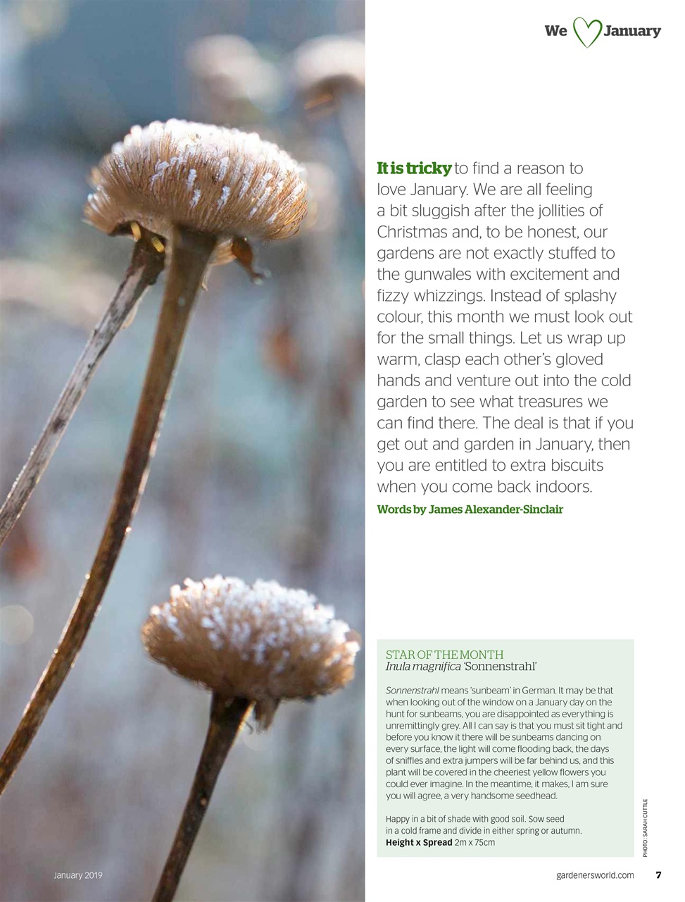 BBC Gardeners’ World Magazine Preview Pages