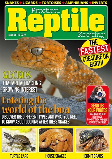 Practical Reptile Keeping issue 