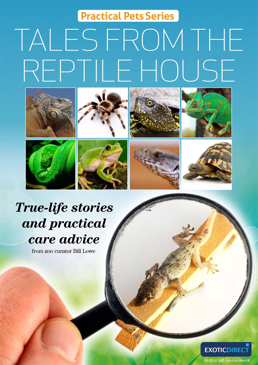 Practical Reptile Keeping Preview Pages