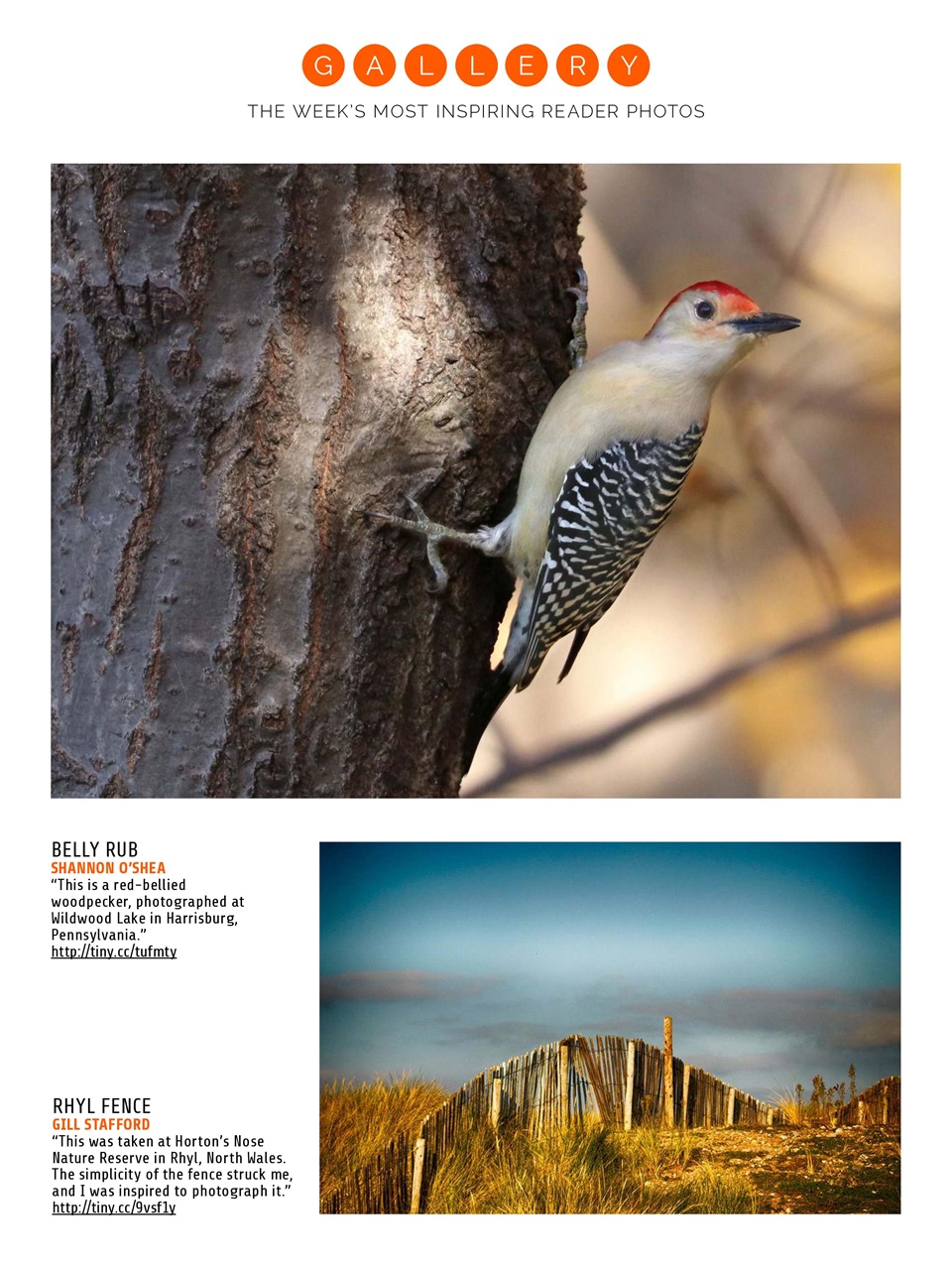 Photography Week Preview Pages
