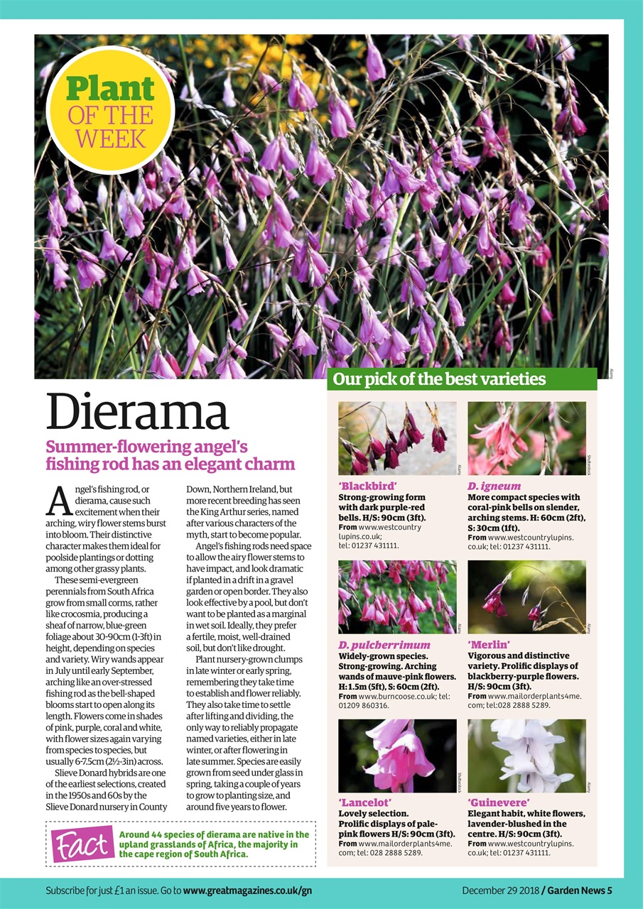 Garden News Preview Pages