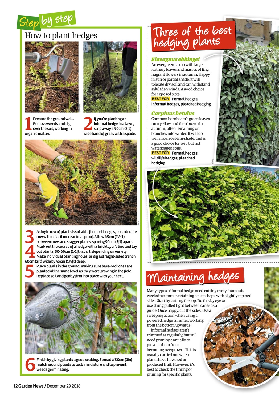 Garden News Preview Pages