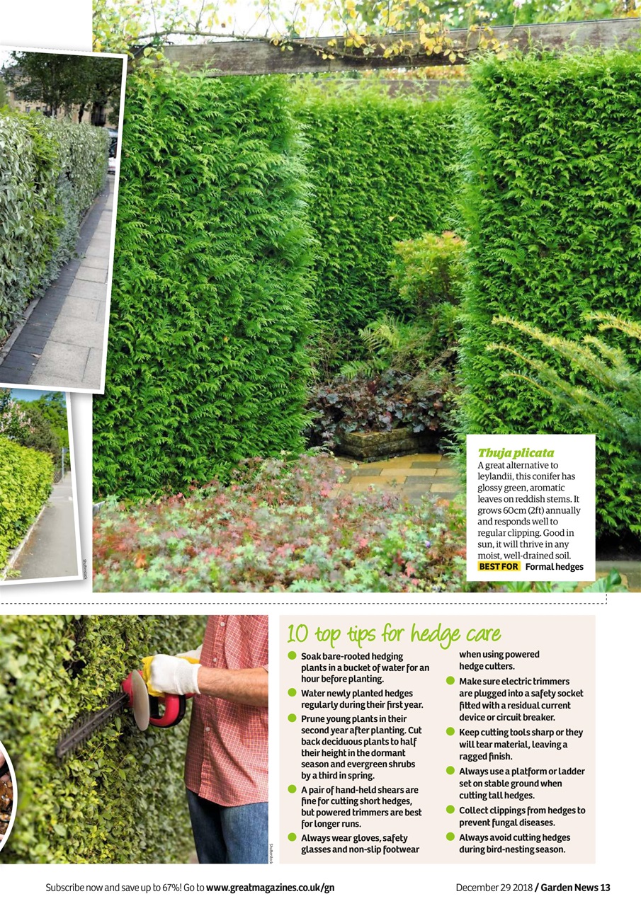 Garden News Preview Pages