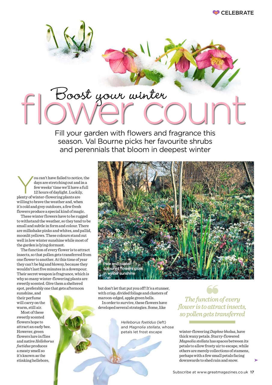 Garden Answers Preview Pages