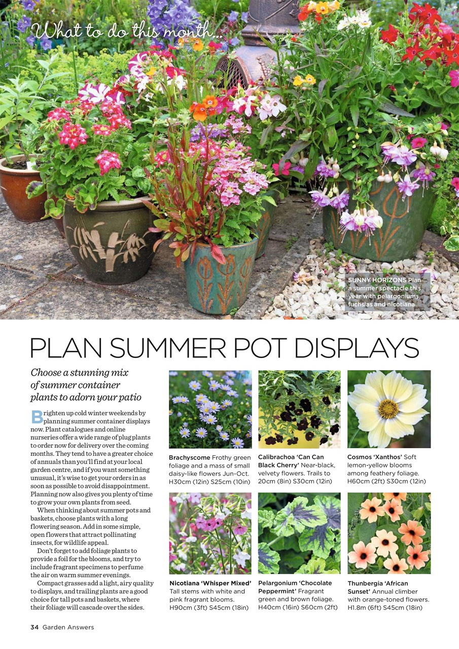 Garden Answers Preview Pages