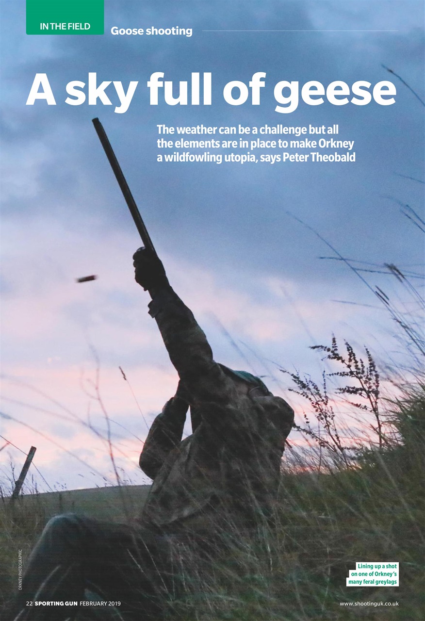 Sporting Gun Preview Pages