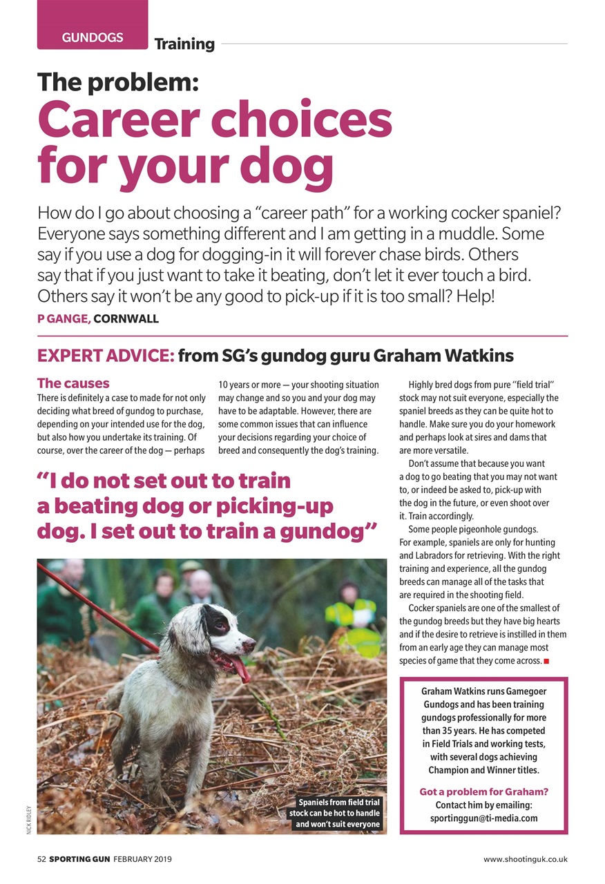 Sporting Gun Preview Pages