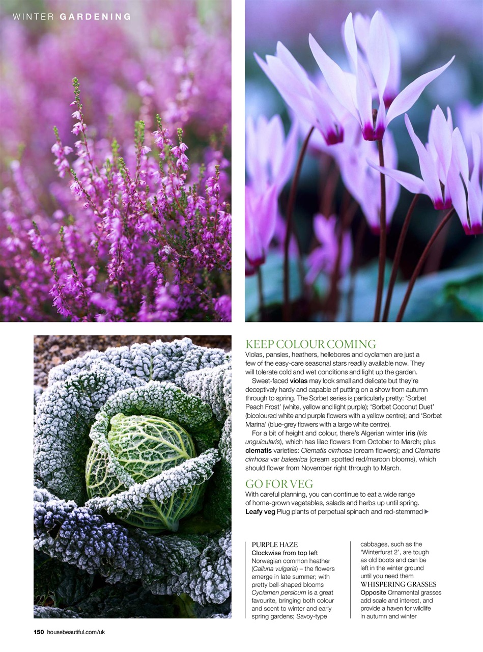 House Beautiful Preview Pages