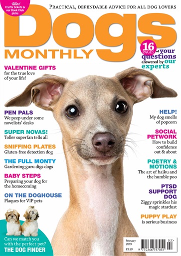 Dogs Monthly issue 