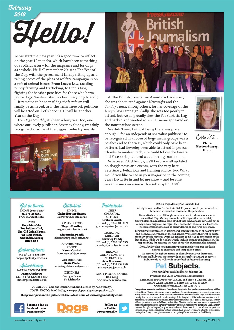 Dogs Monthly Preview Pages