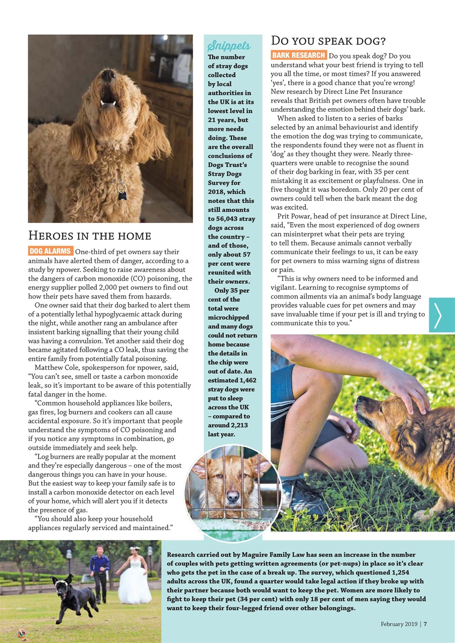 Dogs Monthly Preview Pages