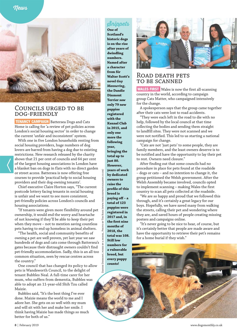 Dogs Monthly Preview Pages