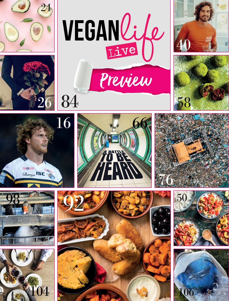 Vegan Life Preview Pages