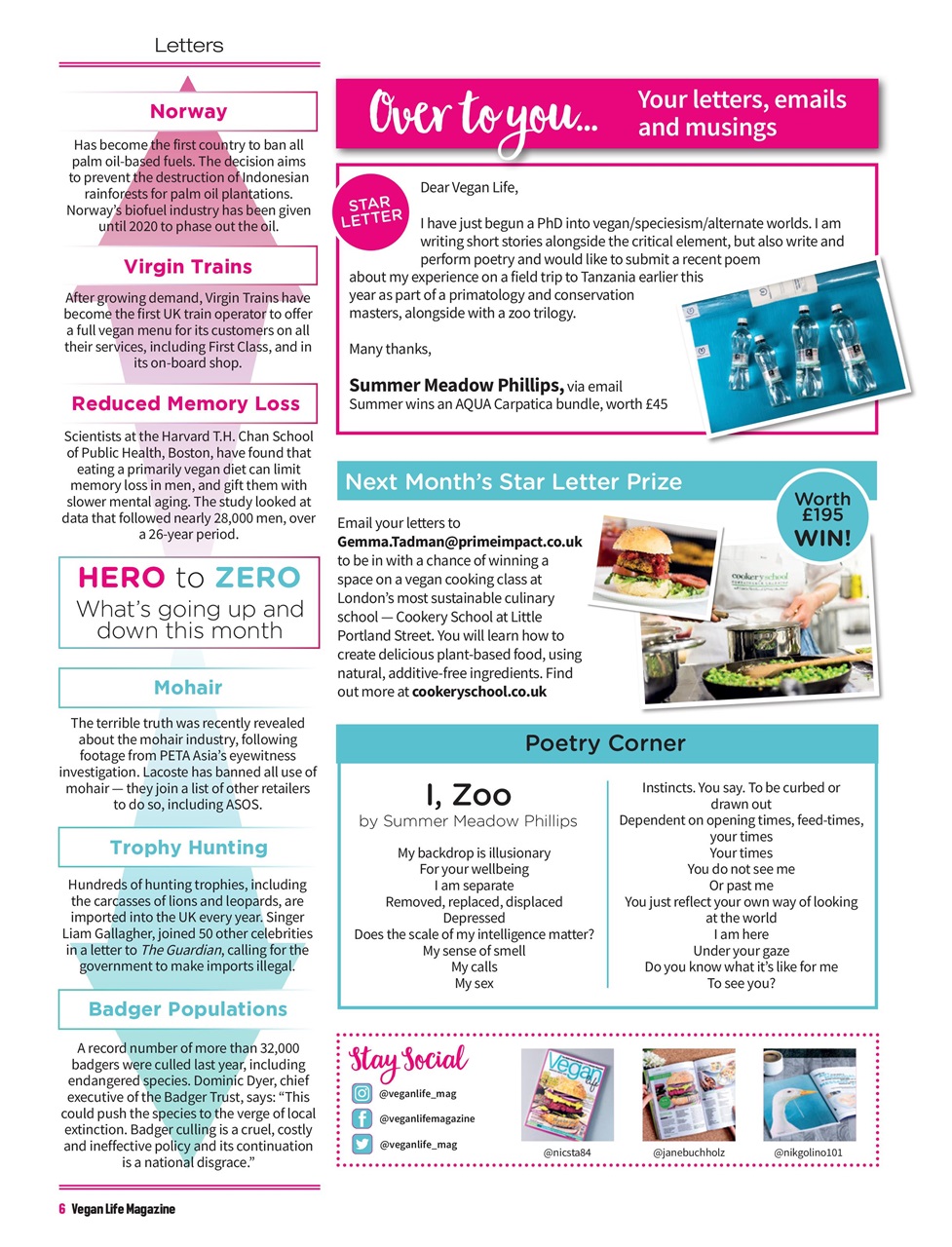 Vegan Life Preview Pages