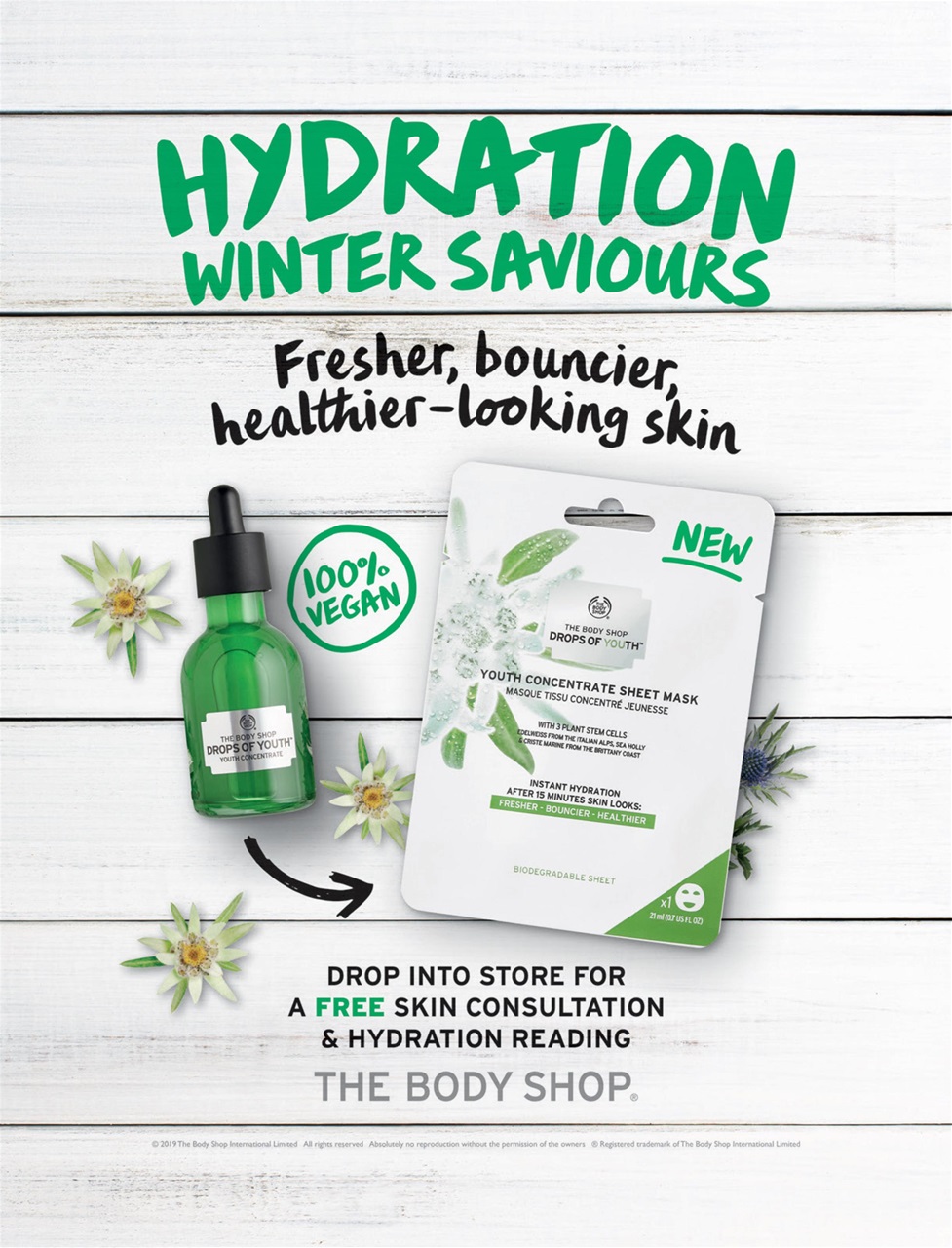 Vegan Life Preview Pages