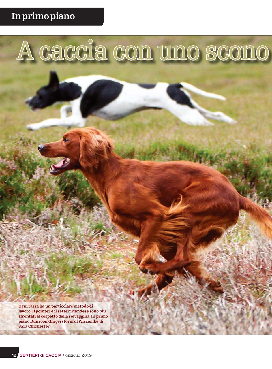 SENTIERI DI CACCIA Preview Pages