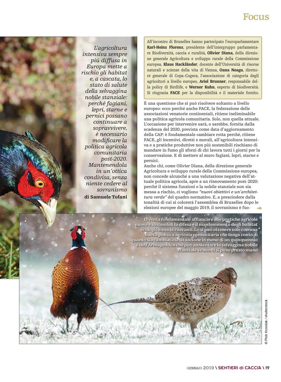 SENTIERI DI CACCIA Preview Pages