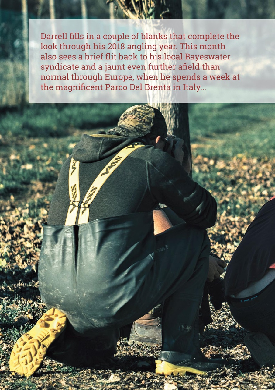 Carpworld Preview Pages