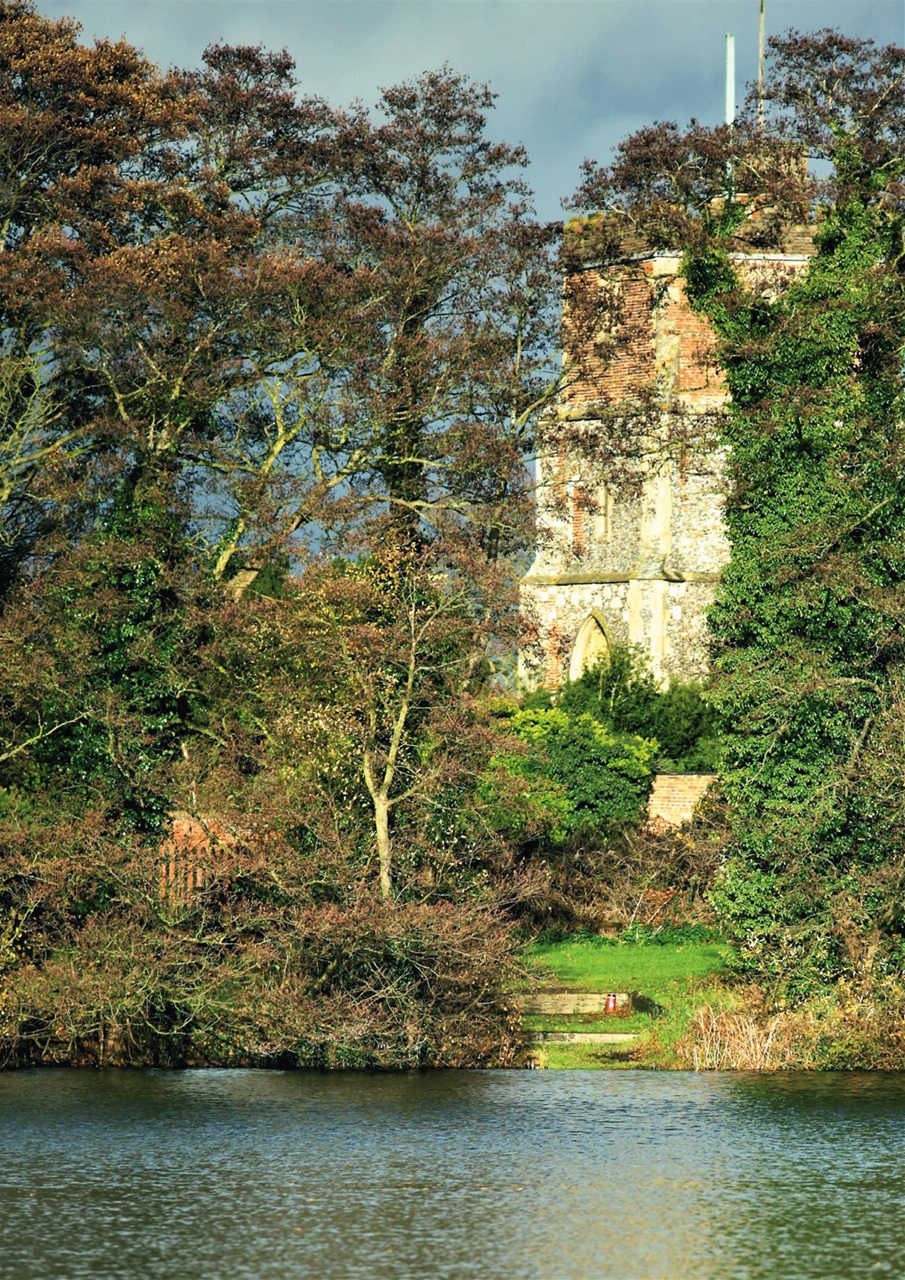 Carpworld Preview Pages