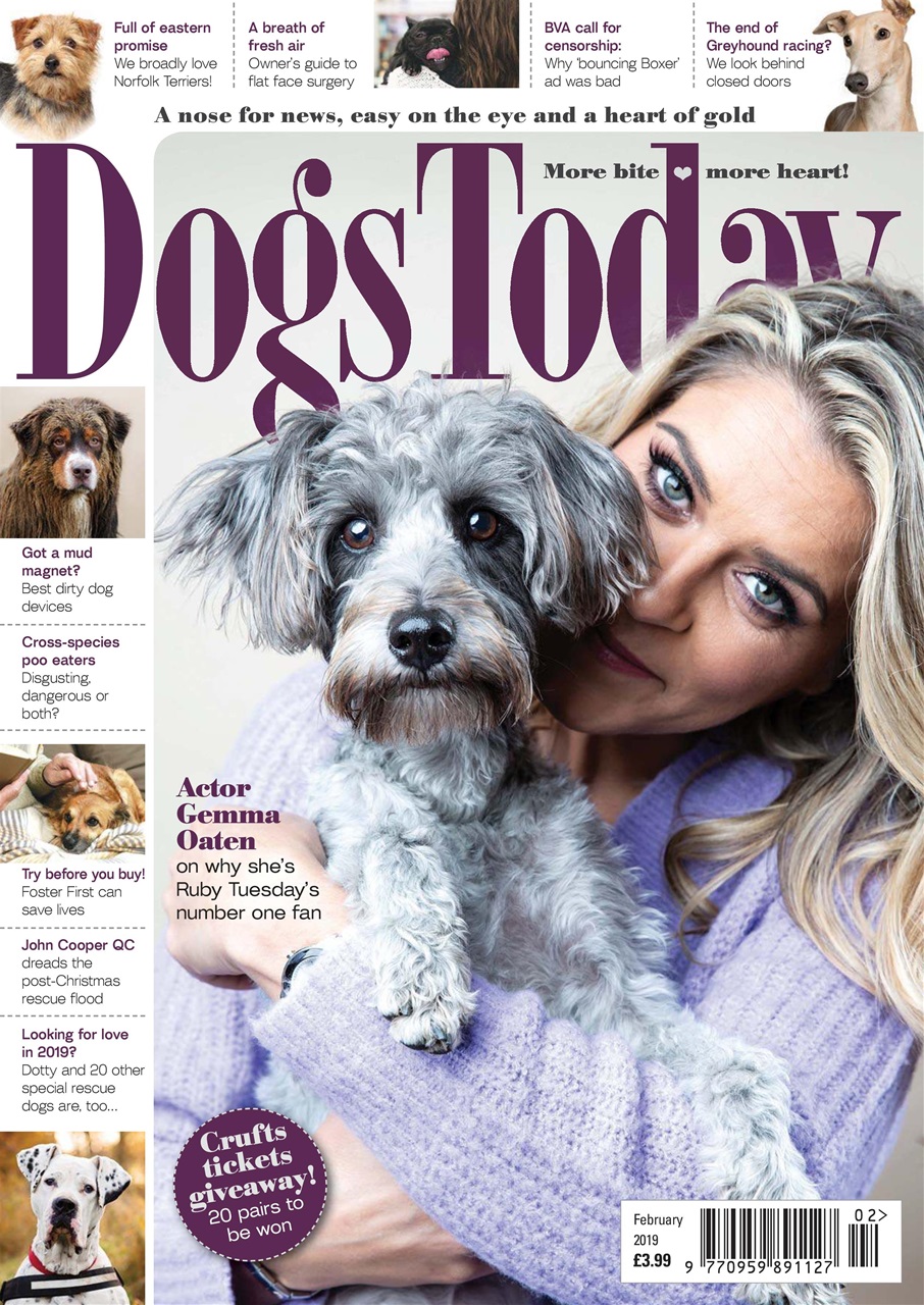 Dogs Today Magazine Preview Pages