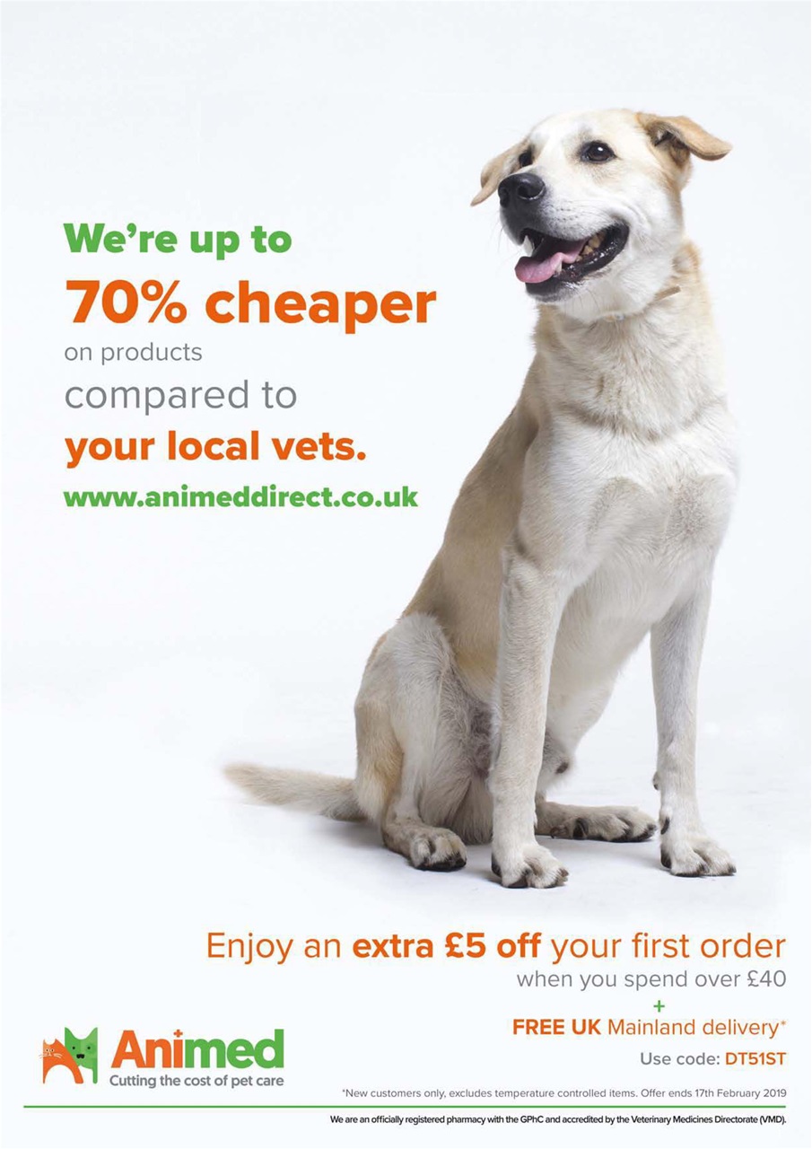 Dogs Today Magazine Preview Pages