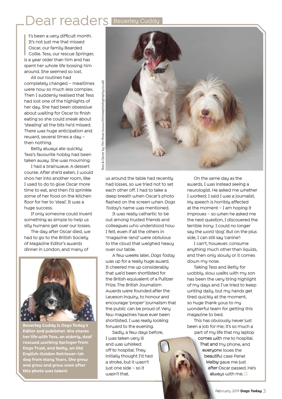 Dogs Today Magazine Preview Pages