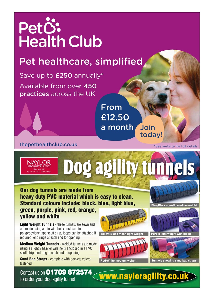 Dogs Today Magazine Preview Pages