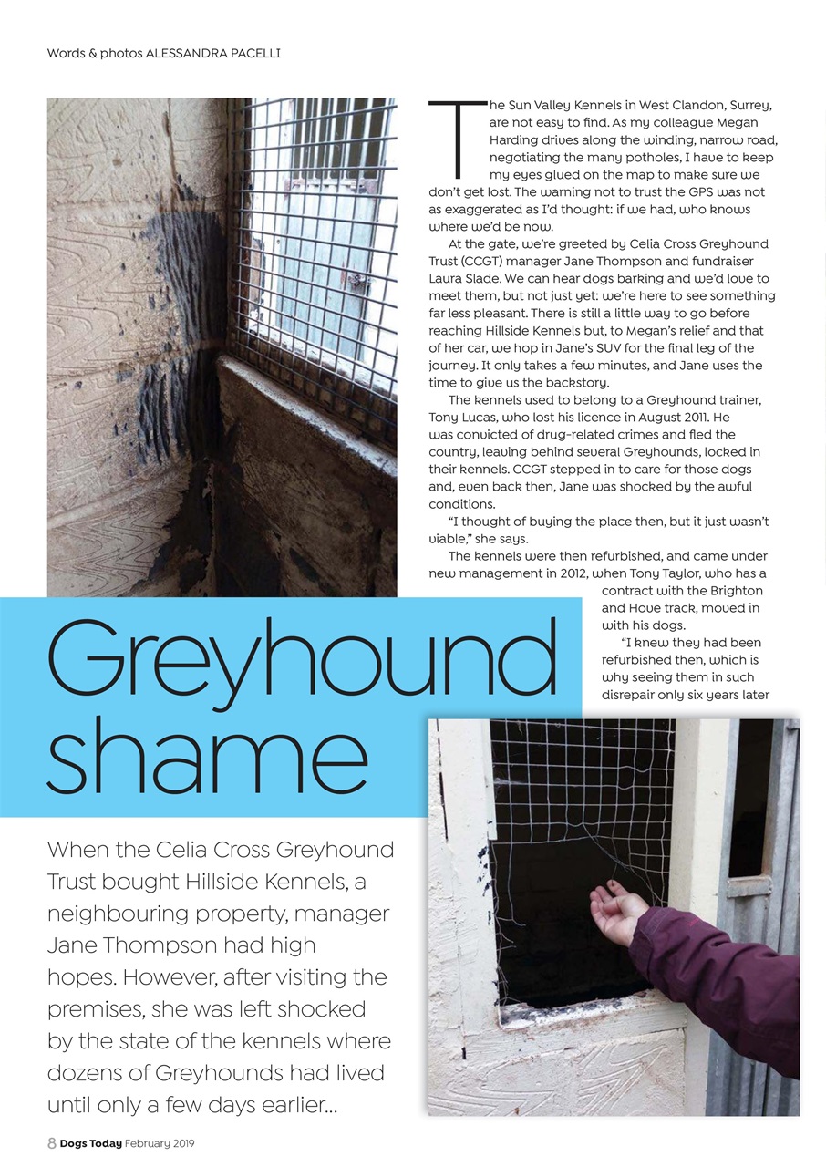 Dogs Today Magazine Preview Pages
