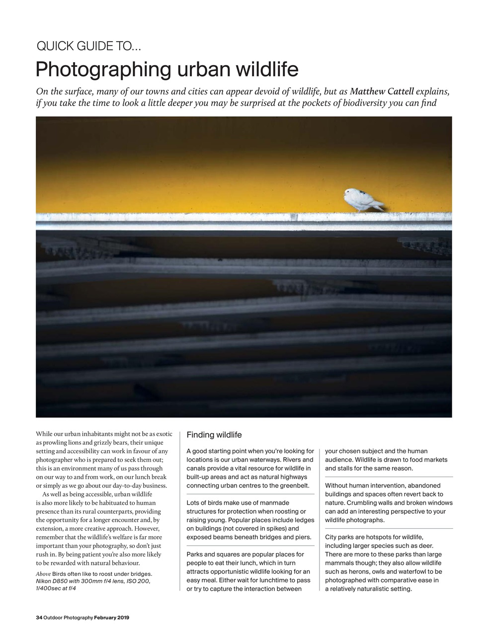 Outdoor Photography Preview Pages