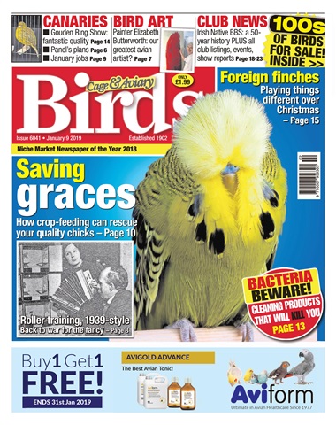 Cage & Aviary Birds issue 9th January 2019