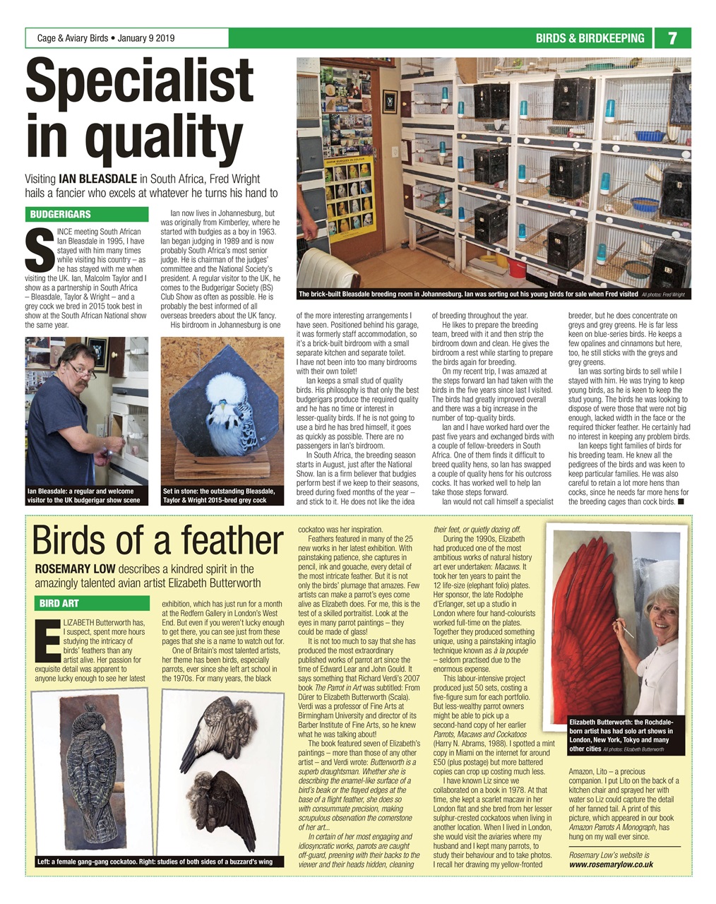 Cage & Aviary Birds Preview Pages