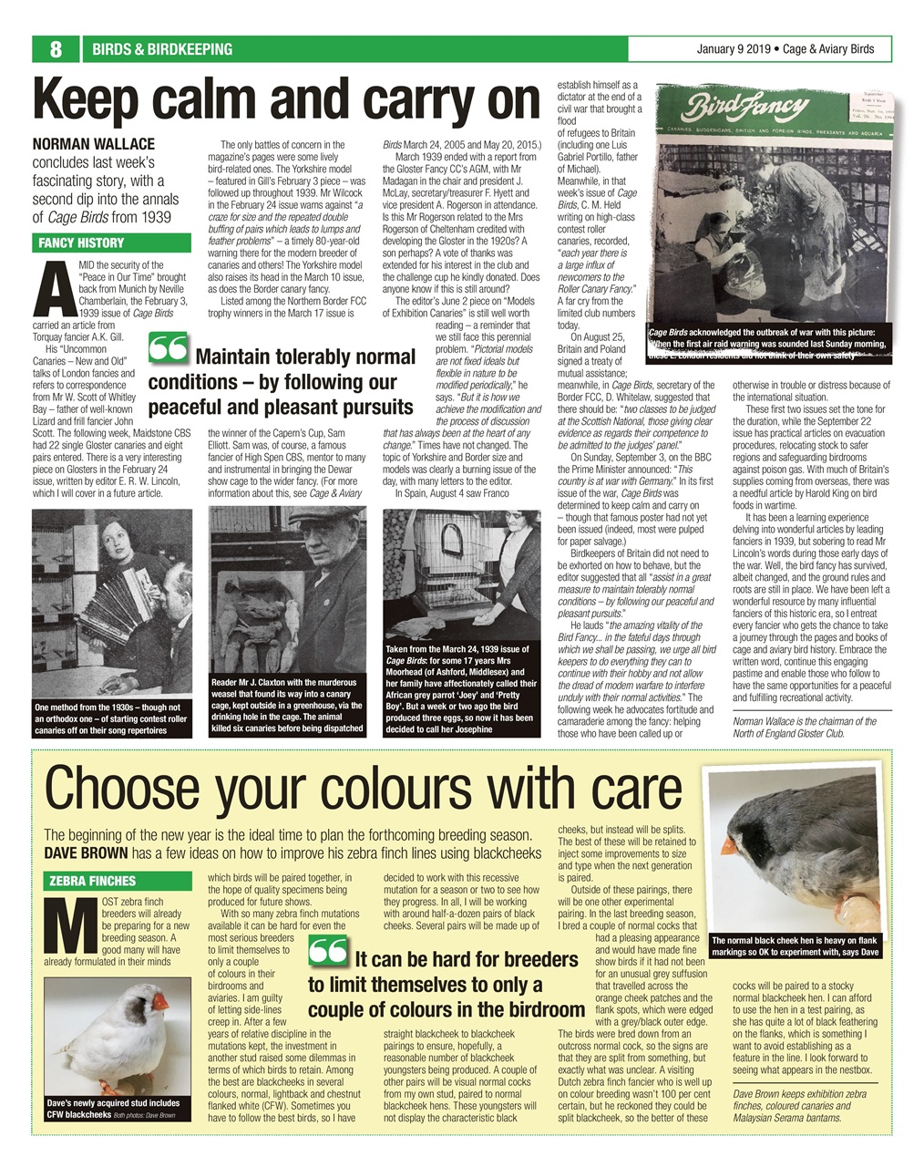 Cage & Aviary Birds Preview Pages