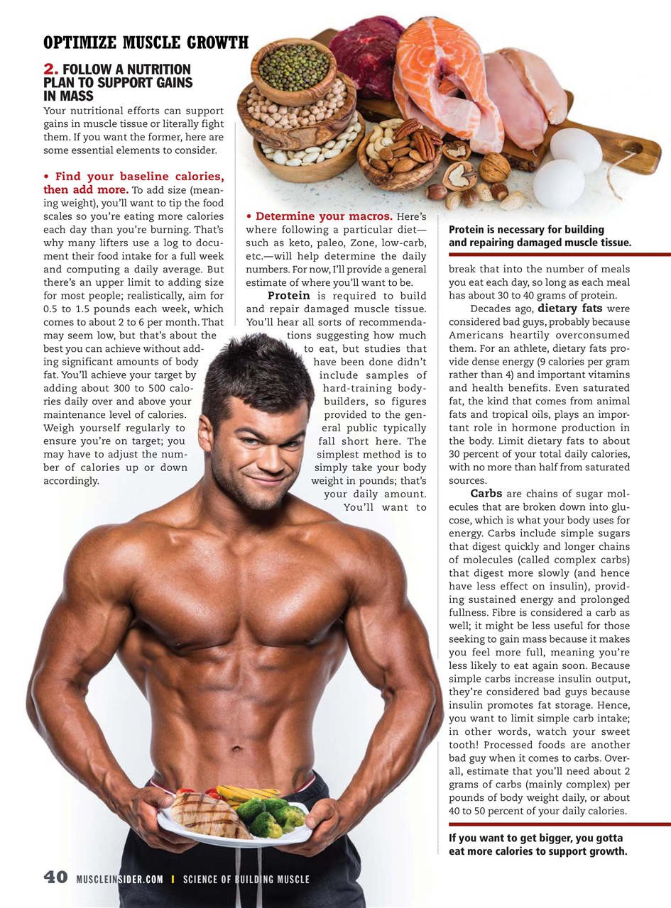 Muscle Insider Magazine Preview Pages