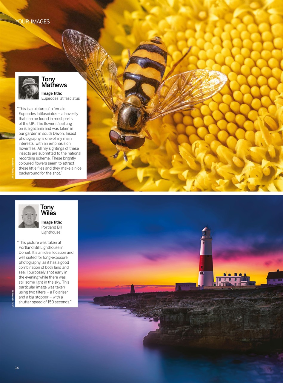 Digital Photographer Preview Pages