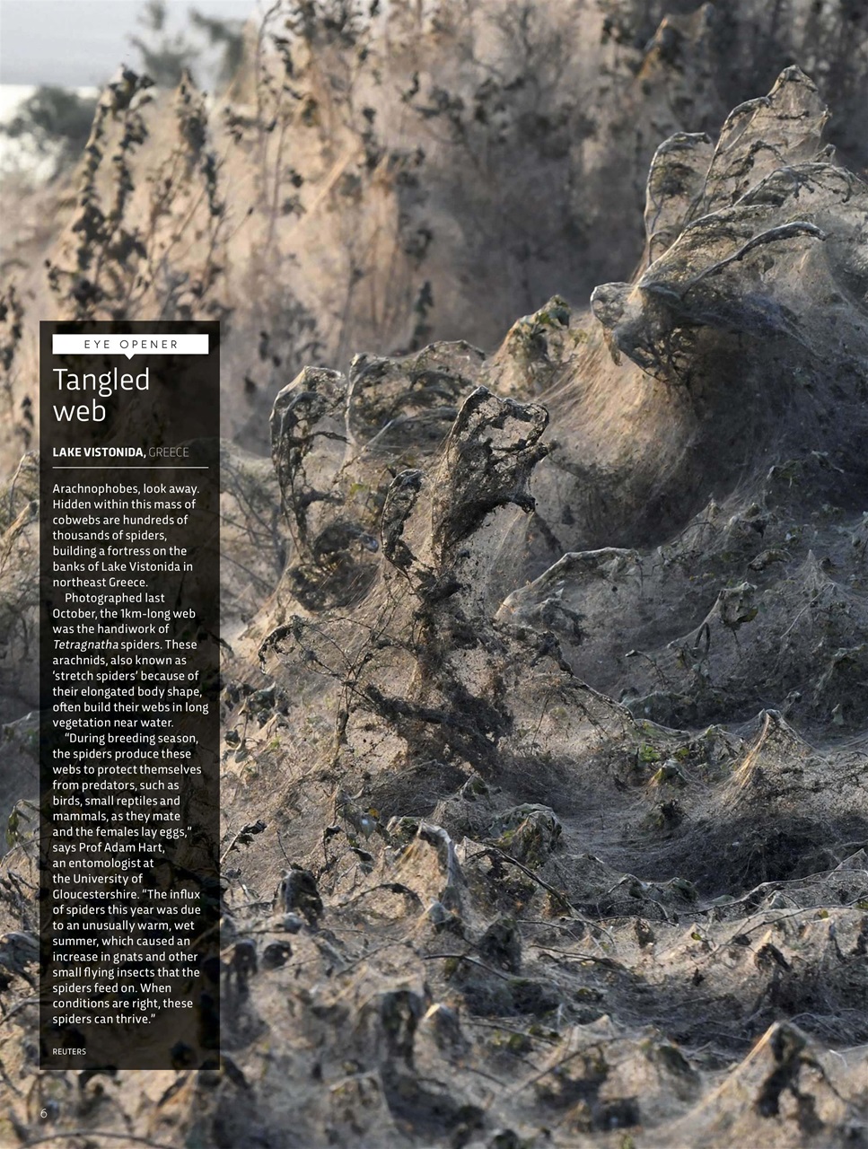 BBC Science Focus Magazine Preview Pages