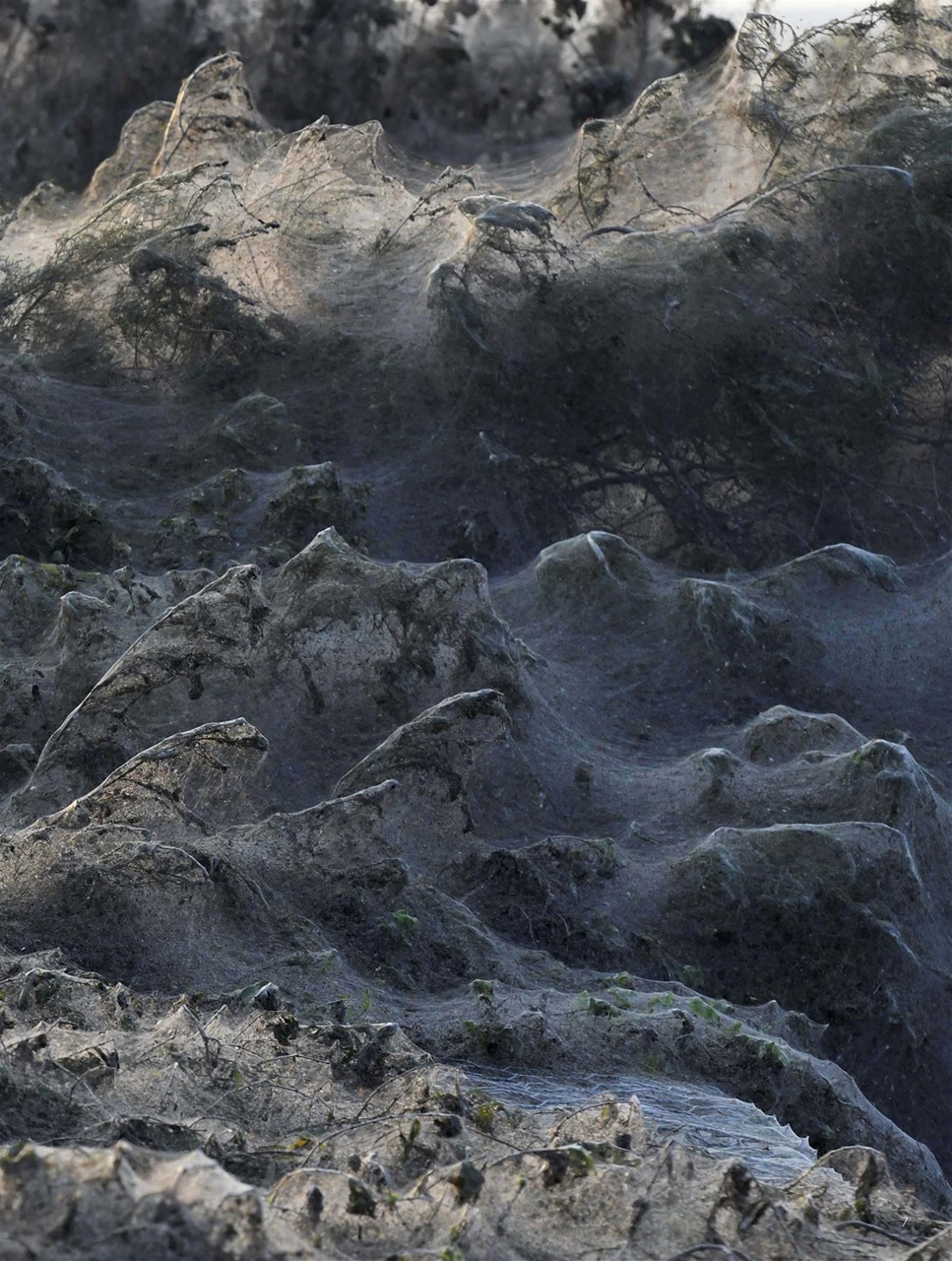 BBC Science Focus Magazine Preview Pages