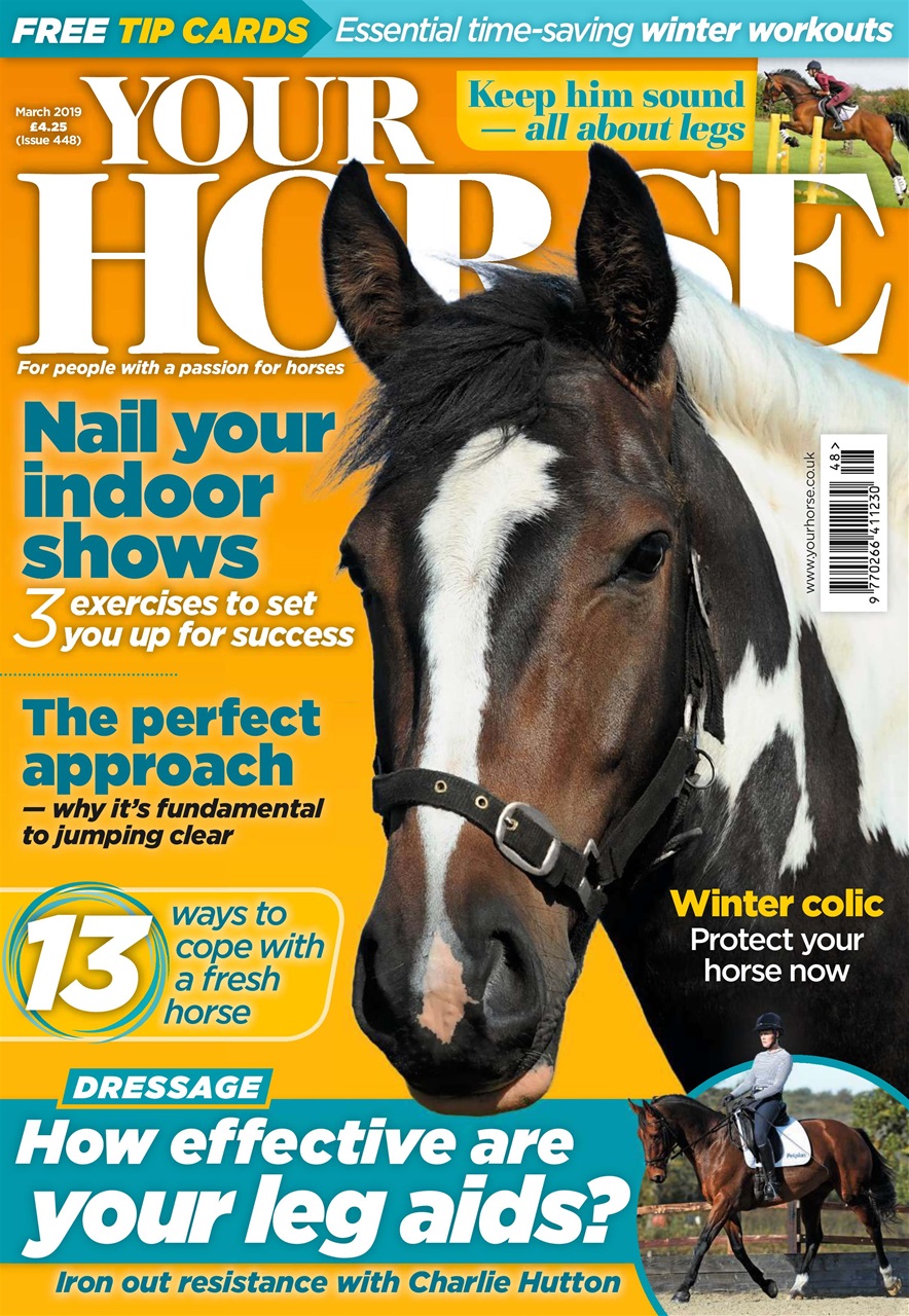 Your Horse Preview Pages
