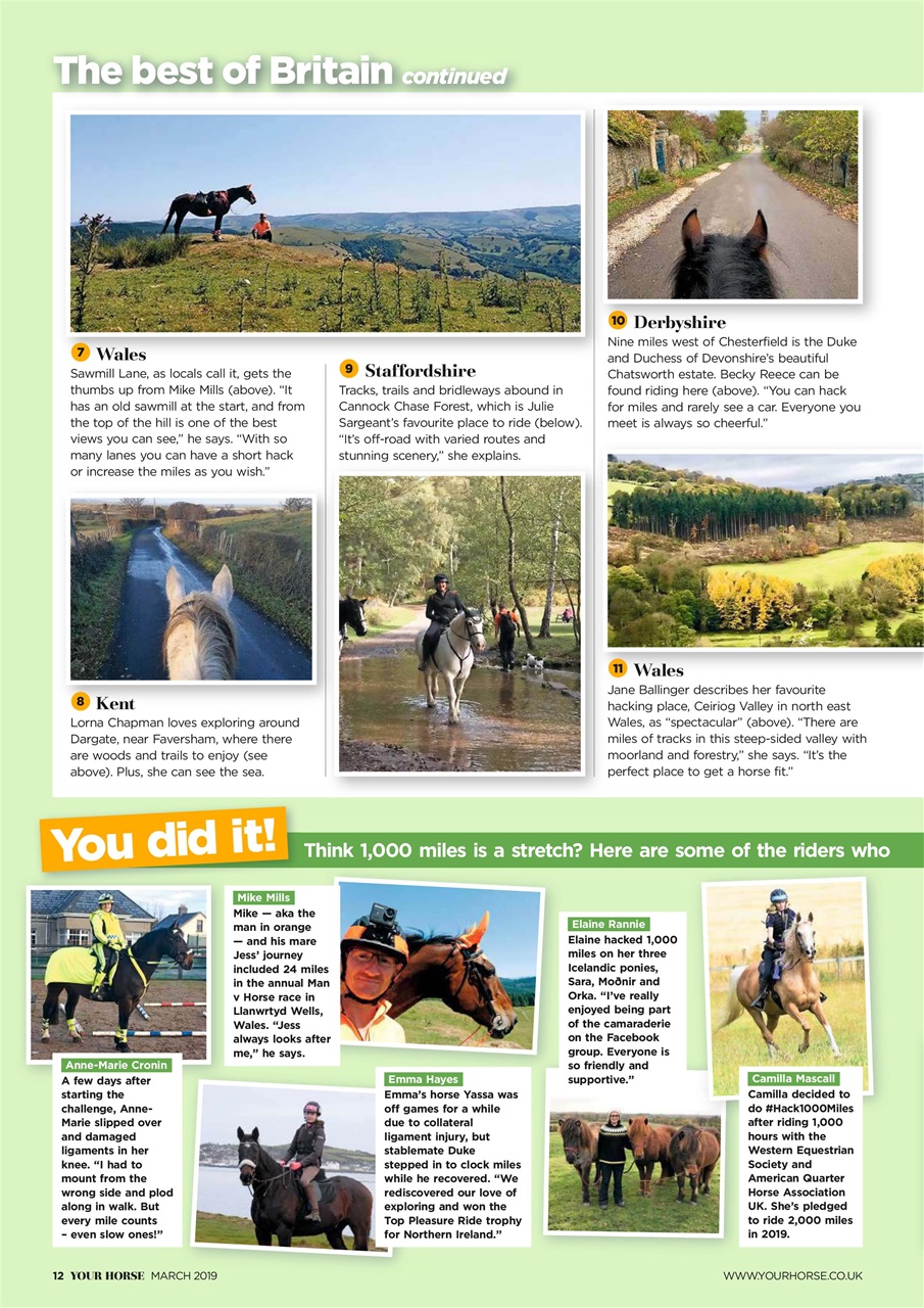 Your Horse Preview Pages