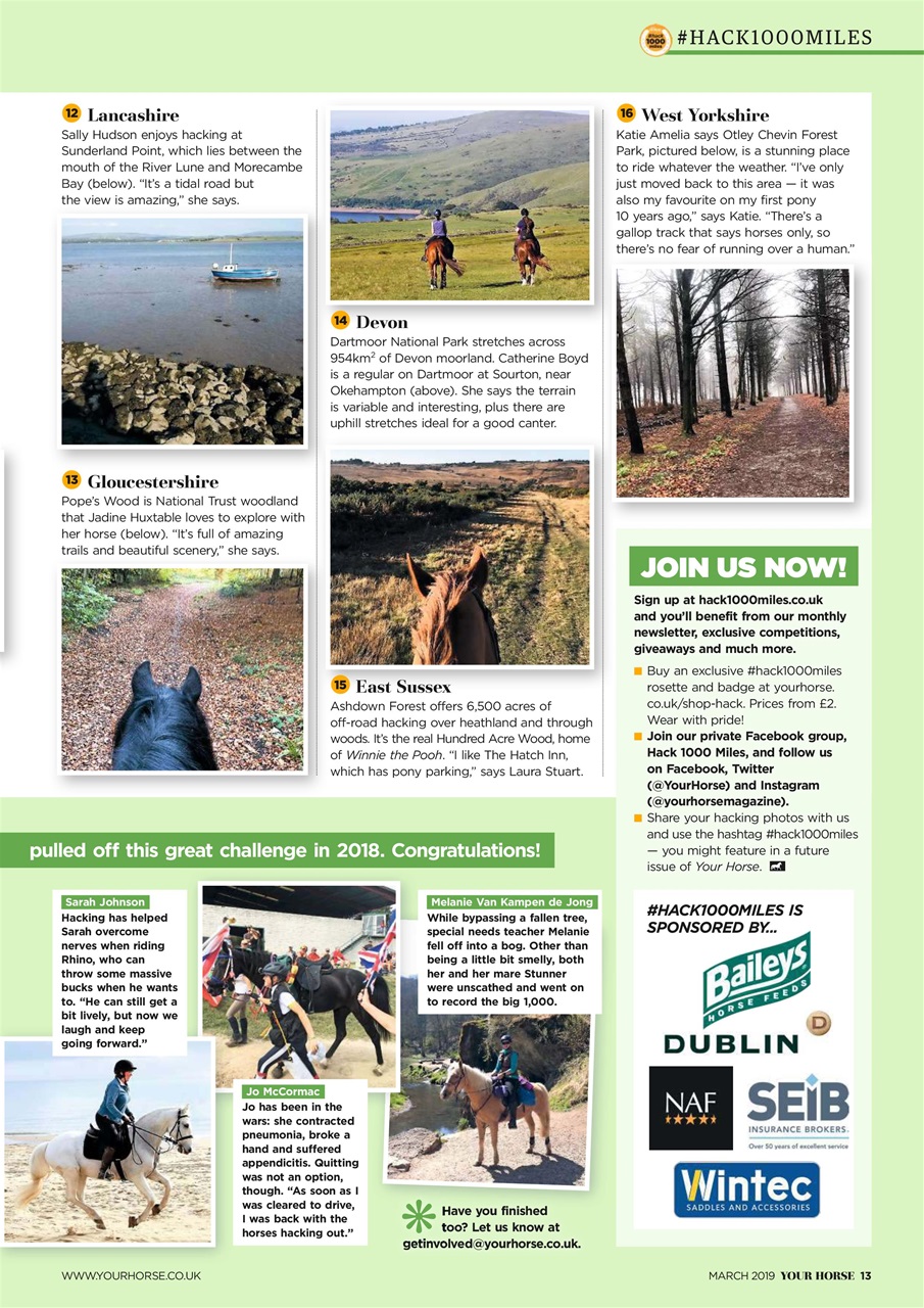 Your Horse Preview Pages