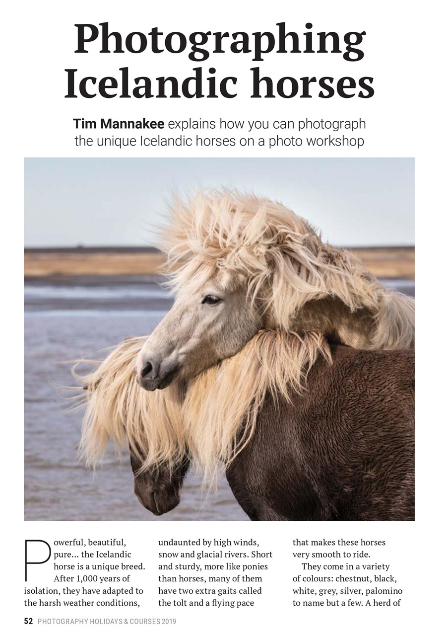 Black+White Photography Preview Pages